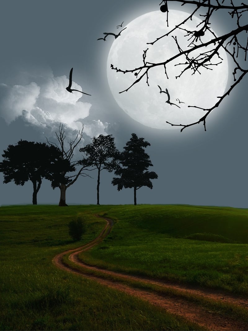 Fairy Tale Meadow